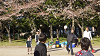 hana26 (323)_thumb.png
